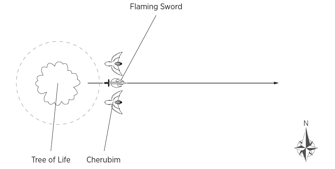 A diagram of a bird with a sword
AI-generated content may be incorrect.